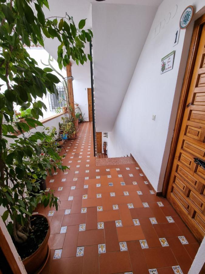 Apartamento Entre Patios San Basilio Apartment Cordoba Luaran gambar