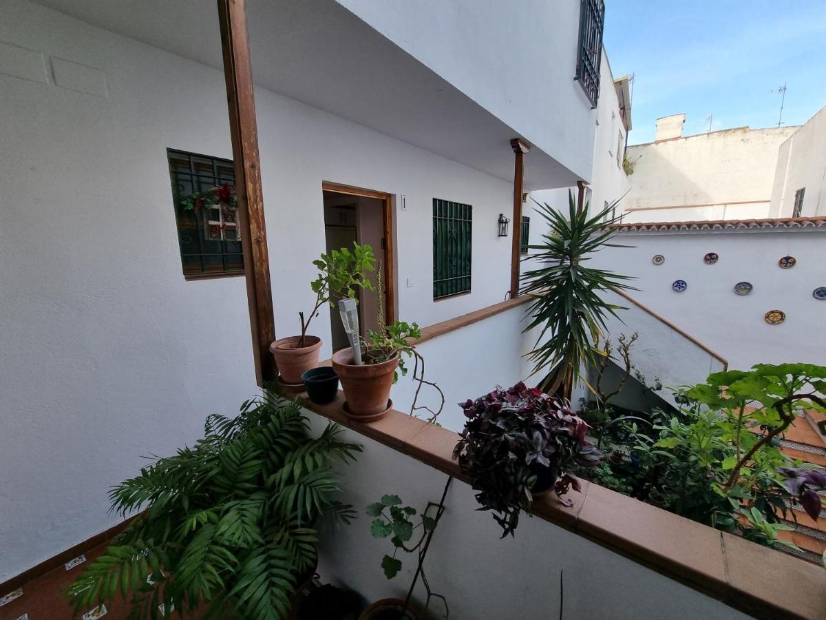 Apartamento Entre Patios San Basilio Apartment Cordoba Luaran gambar